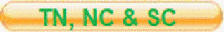 TN.png