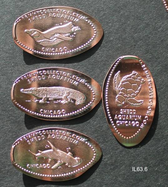 IL63.6.Shedd4c.JPG
