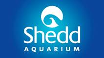 Shedd Aquarium Logo, symbol, meaning, history, PNG, brand